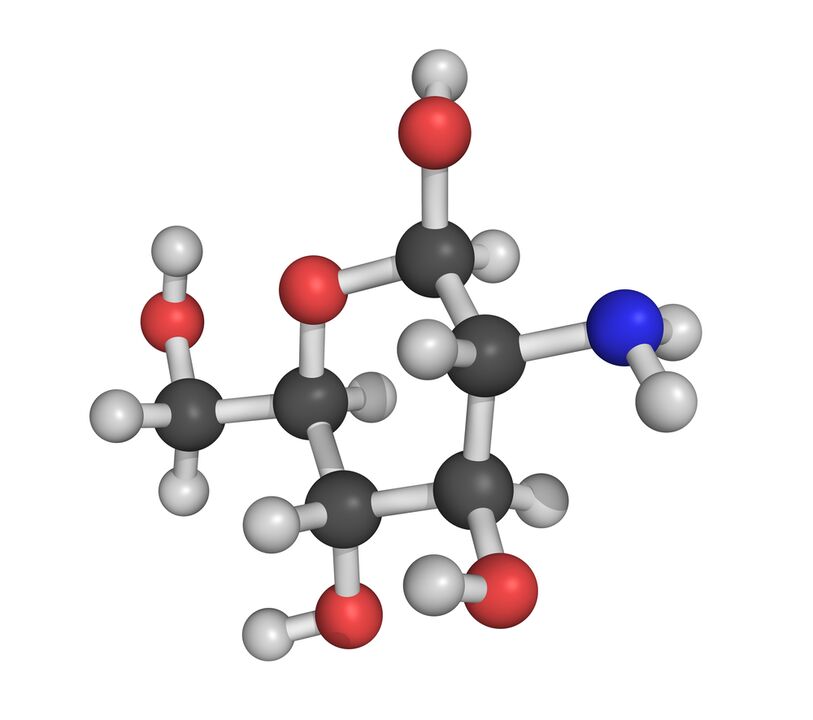 chondroitin - prvek složení HondroFrost